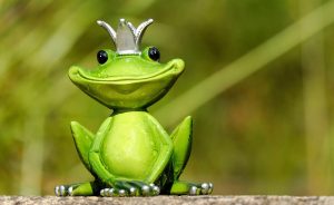 Latest Satta King Tips: Pro Tips to Win in India (2026)